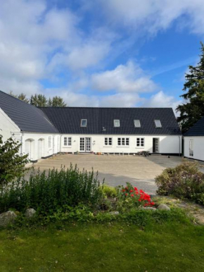 Naturen tæt på. Mærk stilheden!, Dybvad